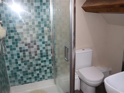 Picture 14